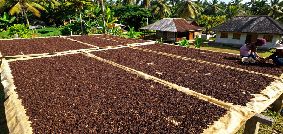Kebun rempah